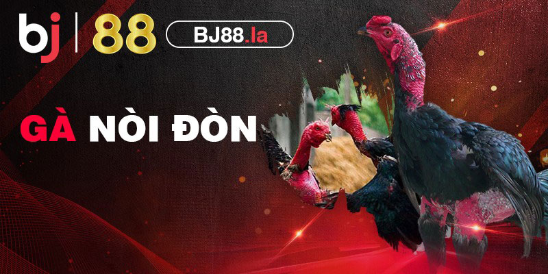 Đá gà nòi đòn và 3 kinh nghiệm bắt kèo đá gà hiệu quả