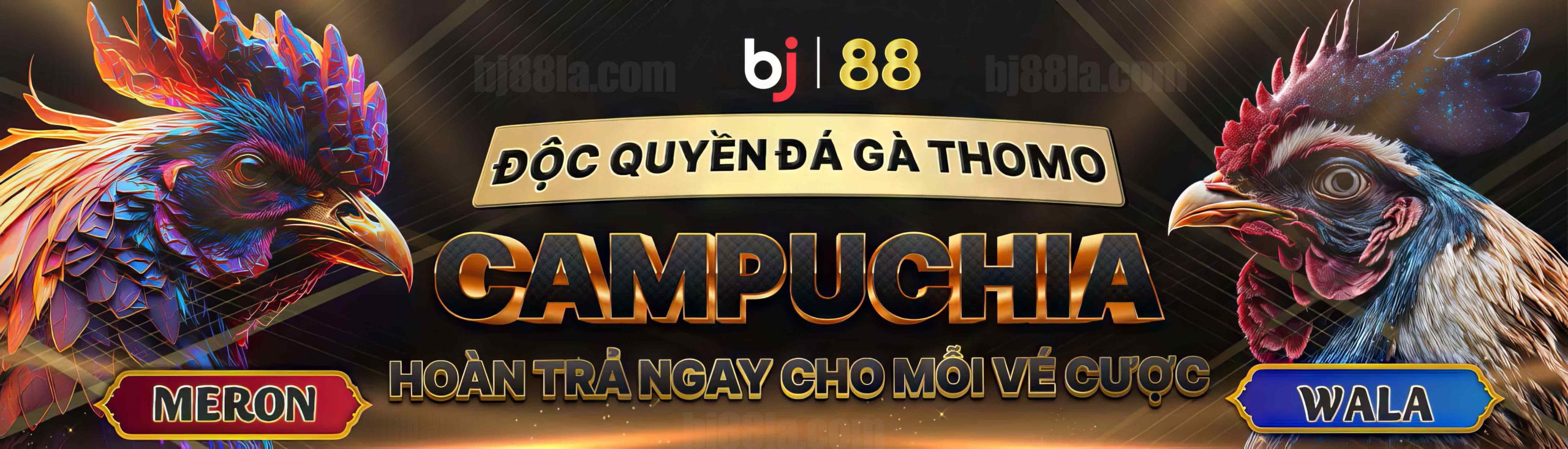 BJ88 đá gà thomo